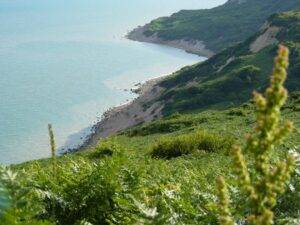 Best Walks in Hastings – Local Walking Guide