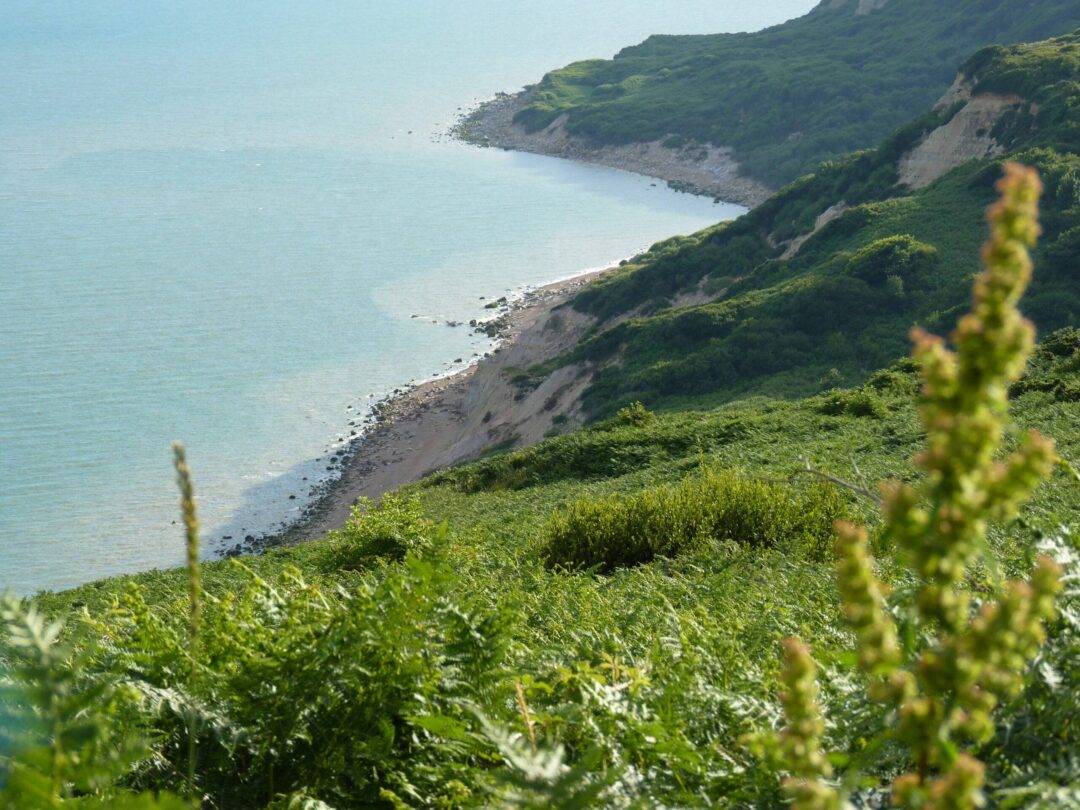 Hastings Country Park