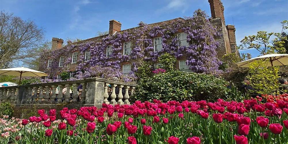 Pashley Manor Gardens